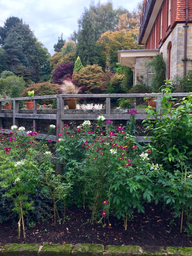 Inspired by Nature and William Morris garde scene, a blog post by Sarah Maidment Interiors, Berkhamsted, Herts
