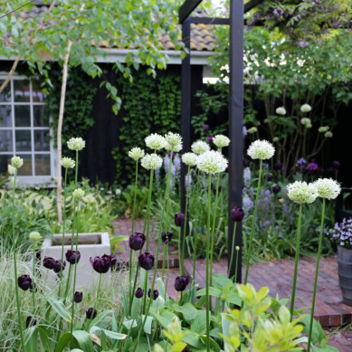 Garden Design - a blog by Sarah Maidment Interiors, Berkhamsted interior designer